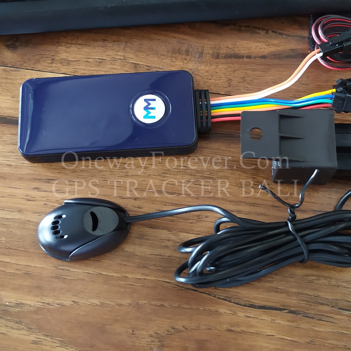 GPS Tracker di Balibali