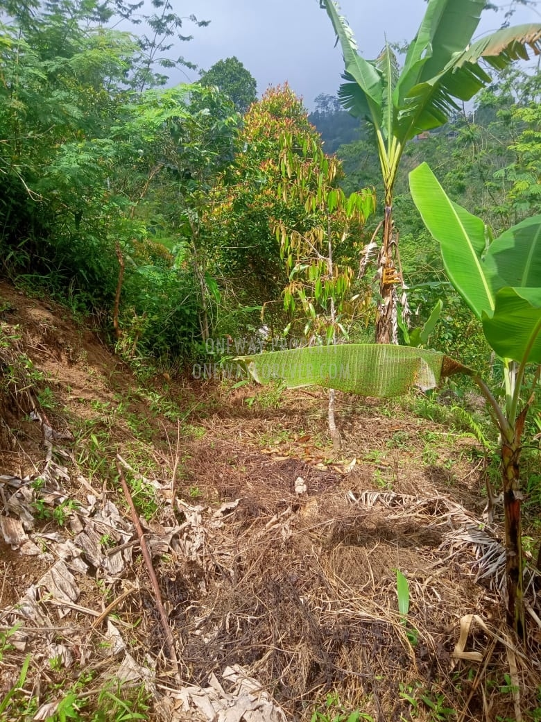 Tanah dijual di air terjun sekumpul Buleleng