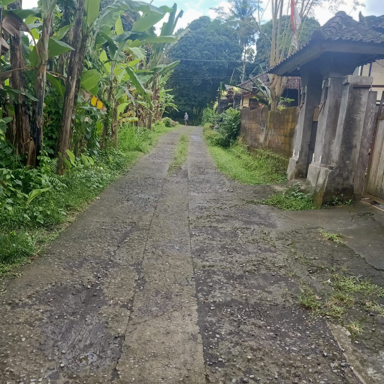 Tanah dijual di Bukian Payangan Gianyar