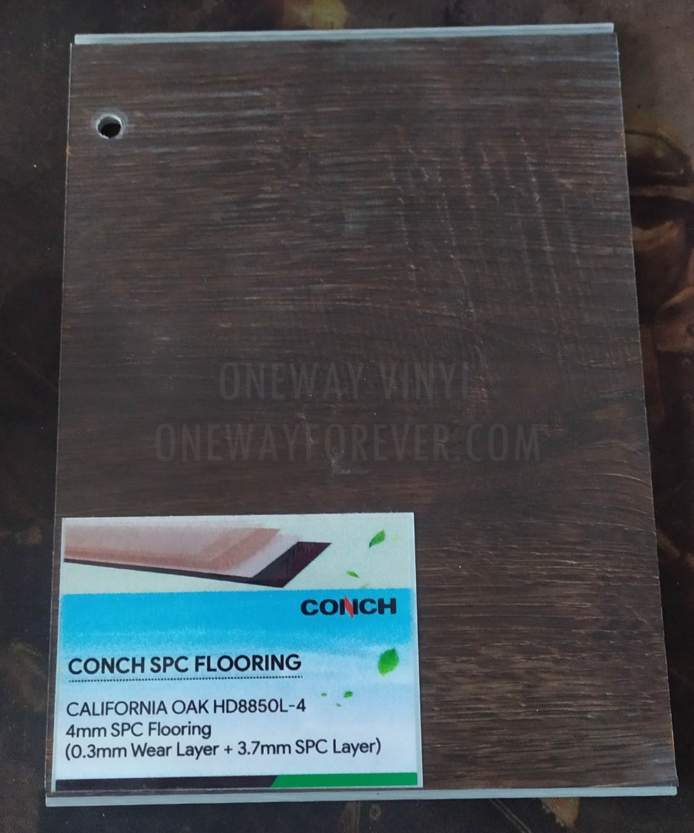 Motif Vinyl CONCH di Bali